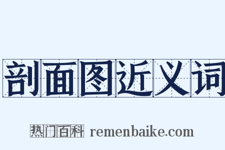 剖面图近义词是什么意思的图片